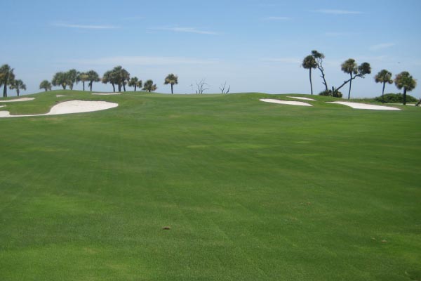 Hilton Head Golf Courses